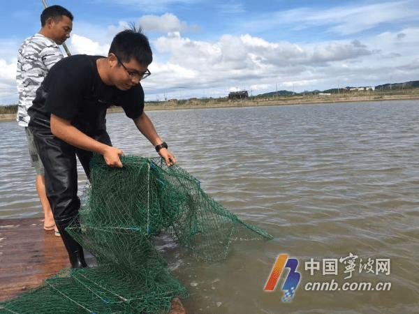 热点生活 第71页