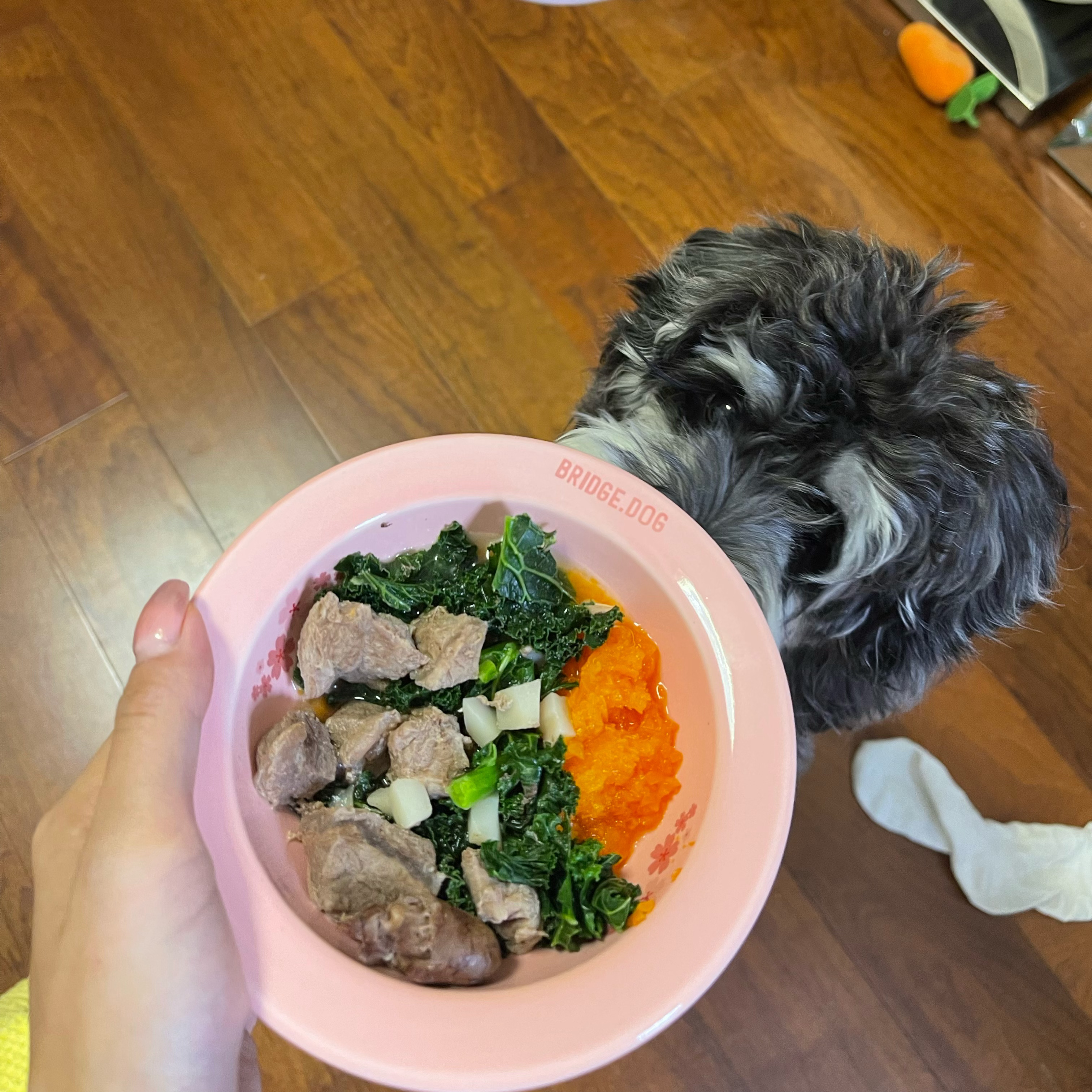 娱乐生活 第44页
