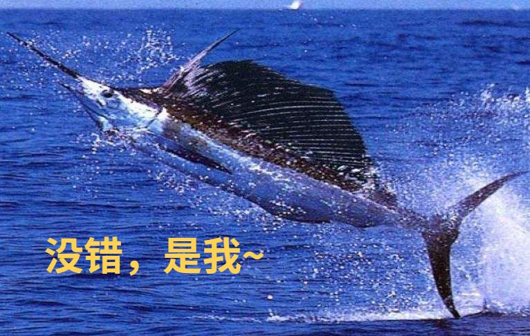 港澳新闻 第9页