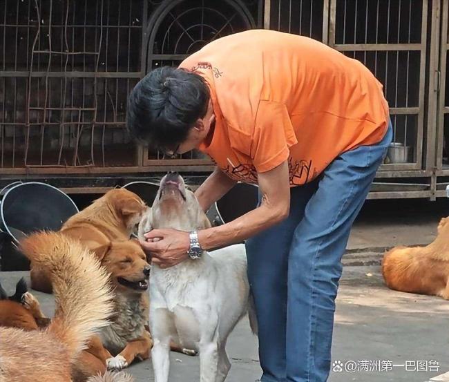 老人家中离世 狗狗不吃不喝守一星期听到老人家中离世，狗狗不吃不喝守一星期的情况，真的非常令人感动和难过。在这种情况下，狗狗可能因为失去亲人或者感到悲伤、不安而表现出异常的行为。